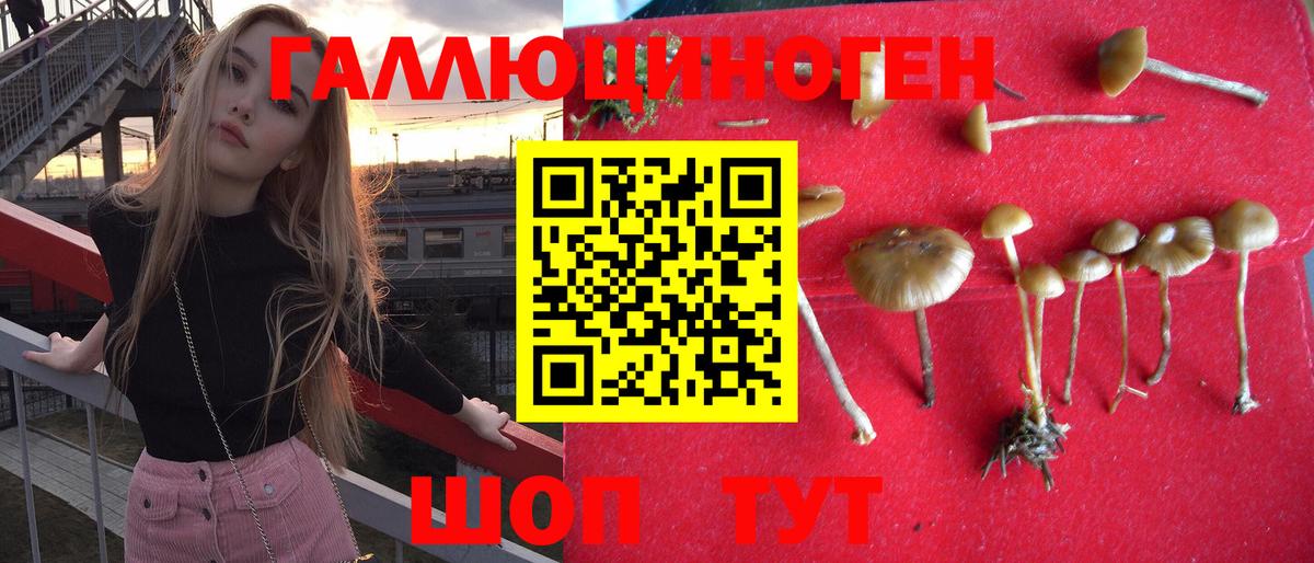 Галлюциногенные грибы Psilocybe Севастополь