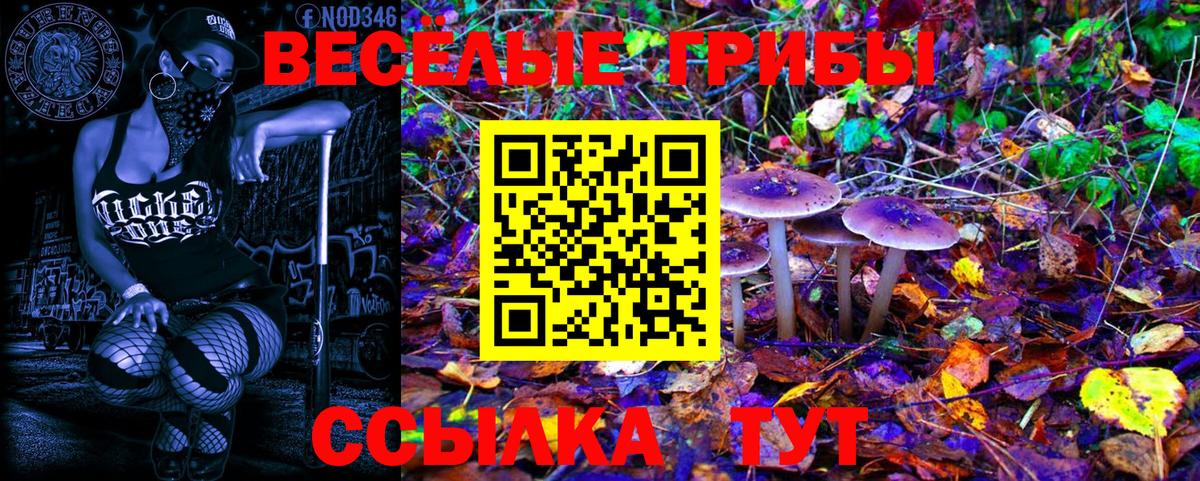 Севастополь  Галлюциногенные грибы Cubensis  Псилоцибиновые грибы Magic Shrooms  Вход с VPN 